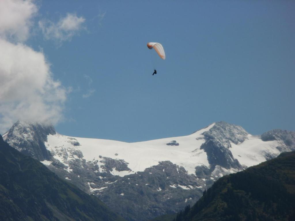 Pez Ault 3* Disentis